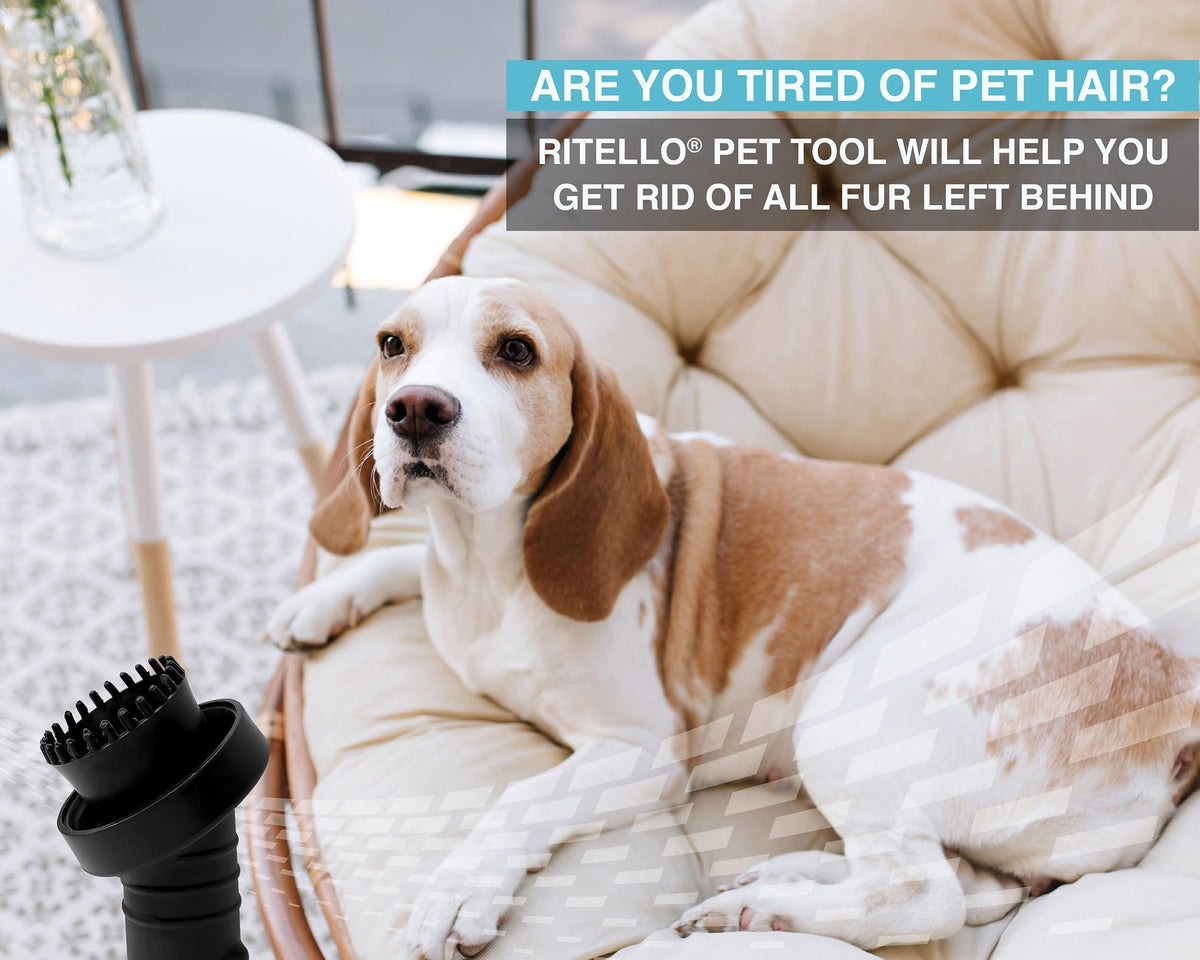 Make grooming part of your routine
